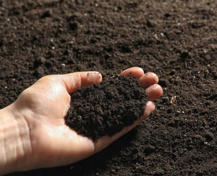 NGUYÊN LIÊU SẠCH