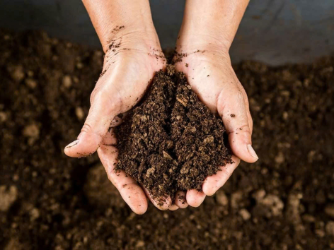 Than bùn xay – Giải pháp tối ưu cho nông nghiệp hữu cơ và cải tạo đất