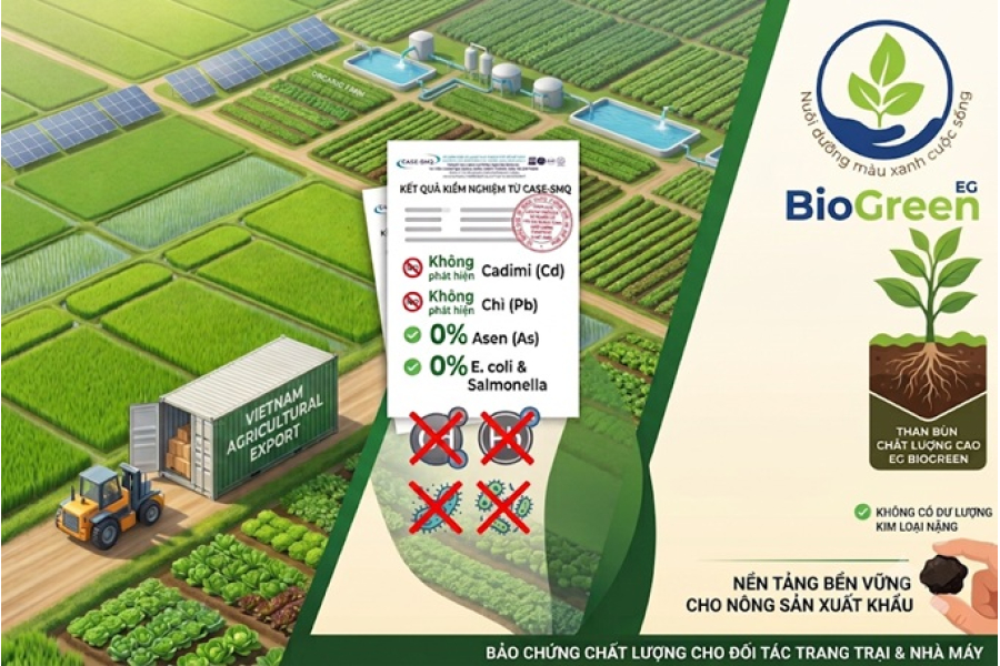 Giải Pháp Chất Lượng Cao Cho Nông Sản Xuất Khẩu: Than Bùn EG BioGreen Không Chứa Cadimi Và Kim Loại Nặng Độc Hại
